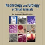 Nephrology and Urology of Small Animals Nephrology and Urology of Small Animals PDF
