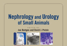 Nephrology and Urology of Small Animals PDF