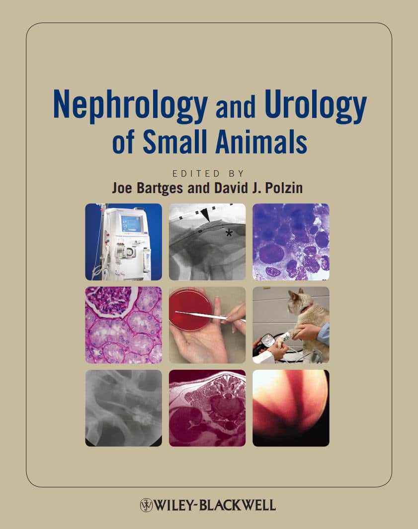 Nephrology And Urology Of Small Animals Pdf Nephrology And Urology Of Small Animals Pdf Download