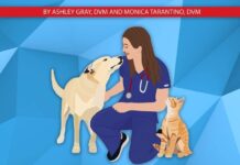 New Vet Jumpstart Guide, Twenty Common General Practice Cases Simplified