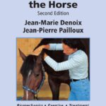 Physical Therapy and Massage for the Horse 2nd Edition Physical Therapy and Massage for the Horse: Biomechanics - Exercise - Treatment, 2nd Edition