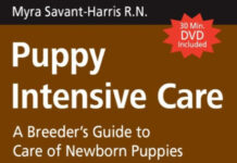Puppy Intensive Care: A Breeder's Guide to Care of Newborn Puppies PDF