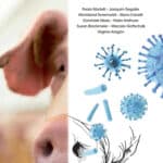 Swine Respiratory Disease Swine Respiratory Disease