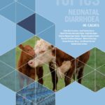 Vet Topics: Neonatal Diarrhoea in Calves