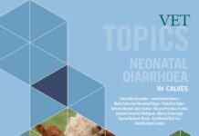 Vet Topics: Neonatal Diarrhoea in Calves