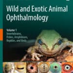 Wild and Exotic Animal Ophthalmology, Volume 1, Invertebrates, Fishes, Amphibians, Reptiles, and Birds PDF