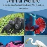 Animal-Welfare-Understanding-Sentient-Minds-and-Why-It-Matters