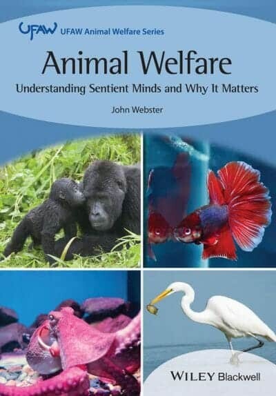 Animal Welfare: Understanding Sentient Minds and Why It Matters PDF
