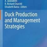 Duck-Production-and-Management-Strategies