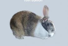 Rabbit Production 10th Edition PDF
