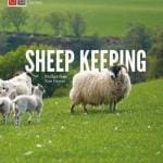 Sheep Keeping: The Professional Smallholder Series