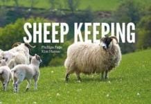Sheep Keeping: The Professional Smallholder Series PDF