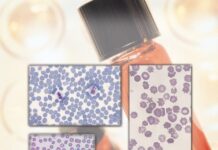 A Guide to Hematology in Dogs and Cats