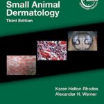 Blackwell’s Five-Minute Veterinary Consult Clinical Companion: Small Animal Dermatology 3rd Edition