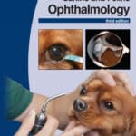 BSAVA Manual of Canine and Feline Ophthalmology 3rd Edition BSAVA Manual of Canine and Feline Ophthalmology 3rd Edition