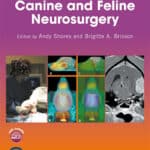 Current Techniques in Canine and Feline Neurosurgery