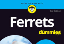 Ferrets For Dummies, 3rd Edition Ferrets For Dummies, 3rd Edition