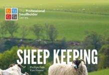 Sheep Keeping: The Professional Smallholder Series
