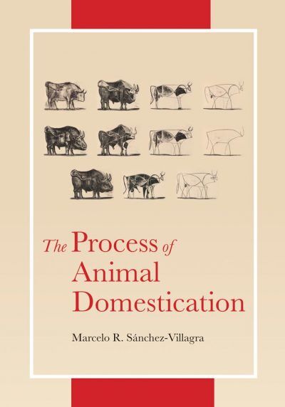 The Process of Animal Domestication PDF