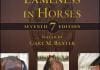 Adams and Stashak's Lameness in Horses 7th Edition PD