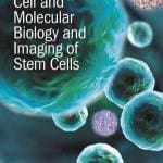 cell-and-molecular-biology-and-imaging-of-stem-cells