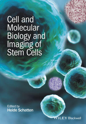 Cell and Molecular Biology and Imaging of Stem Cells PDF