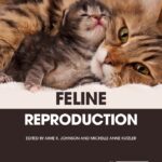 Feline Reproduction – Aime Johnson Feline Reproduction - Aime Johnson