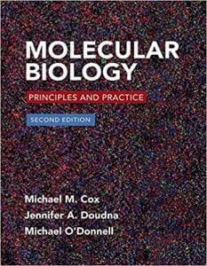 molecular-biology-principles-and-practice-2nd-edition
