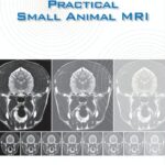 Practical Small Animal MRI