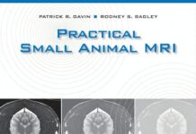 Practical Small Animal MRI