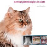 Visual Atlas of Oral and Dental Pathologies in Cats PDF