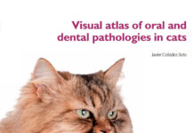 Visual Atlas of Oral and Dental Pathologies in Cats PDF