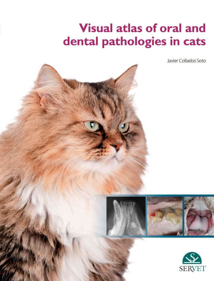 Visual Atlas of Oral and Dental Pathologies in Cats PDF