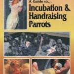 A Guide to Incubation and Handraising Parrots