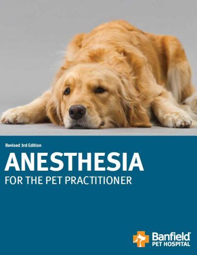 Anesthesia for the Pet Practitioner, Revised 3rd Edition PDF