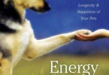 Energy Healing for Animals: A Hands-On Guide for Enhancing the Health, Longevity, and Happiness of Your Pets PDF