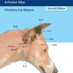 Acupuncture for Dogs and Cats: A Pocket Atlas 2nd Edition