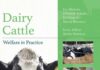 Dairy Cattle Welfare In Practice