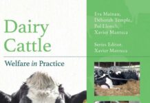 Dairy Cattle Welfare in Practice