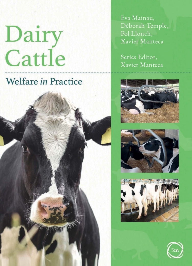 Dairy Cattle Welfare In Practice Pdf Download