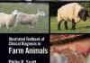 Illustrated Textbook of Clinical Diagnosis in Farm Animals PDF