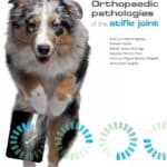 Orthopaedic Pathologies of the Stifle Joint
