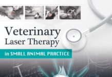 Veterinary Laser Therapy in Small Animal Practice