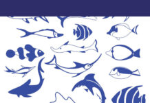 Clinical and Laboratory Manual of Fish Diseases