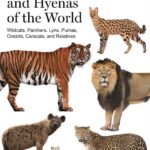 Felids and Hyenas of the World; Wildcats, Panthers, Lynx, Pumas, Ocelots, Caracals, and Relatives