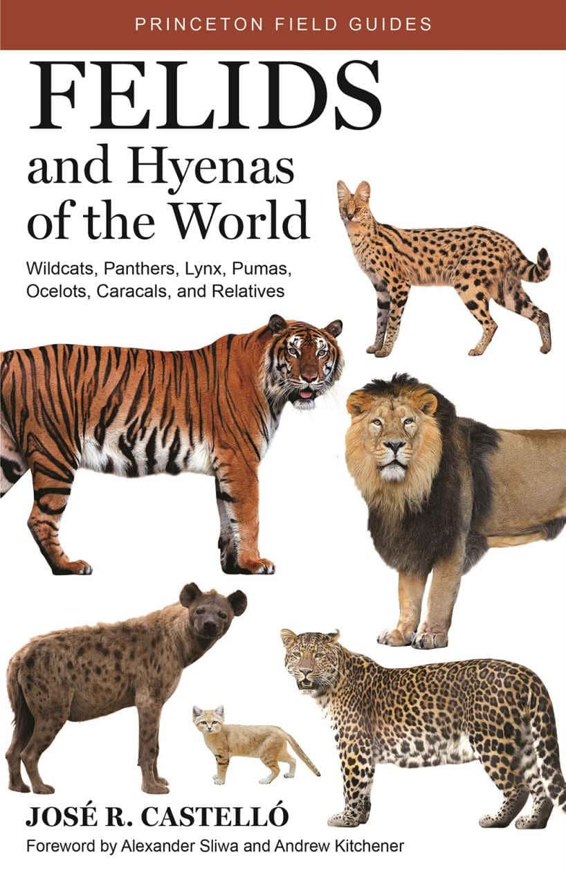 Felids And Hyenas Of The World; Wildcats, Panthers, Lynx, Pumas, Ocelots, Caracals, And Relatives Pdf Download