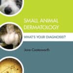 Small Animal Dermatology: What's Your Diagnosis?