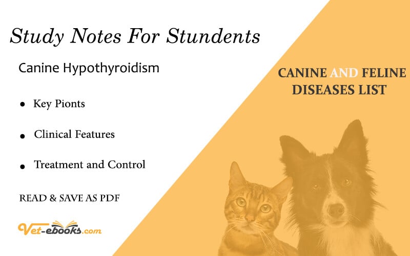 Canine Hypothyroidism