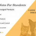 Canine Laryngeal Paralysis