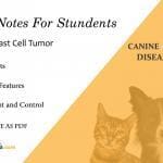 Canine Mast Cell Tumor